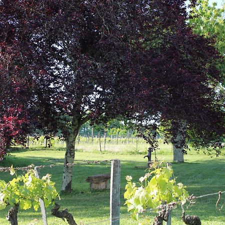 La Vigneraie De Laura Bed & Breakfast Sainte-Colombe  Exterior foto